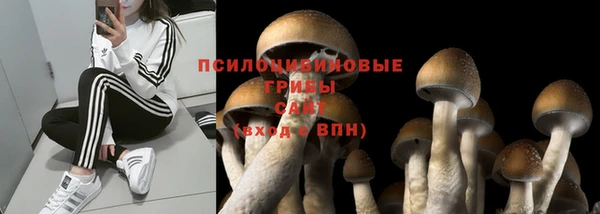 прущий лед Белокуриха