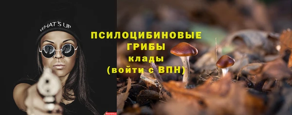 кристаллы Богданович
