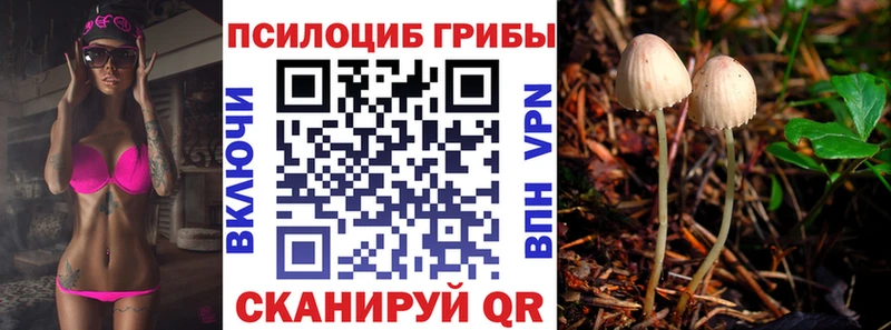 Псилоцибиновые грибы Psilocybine cubensis  Верещагино 