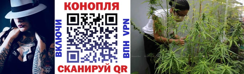 Конопля SATIVA & INDICA где найти MEGA рабочий сайт Верещагино